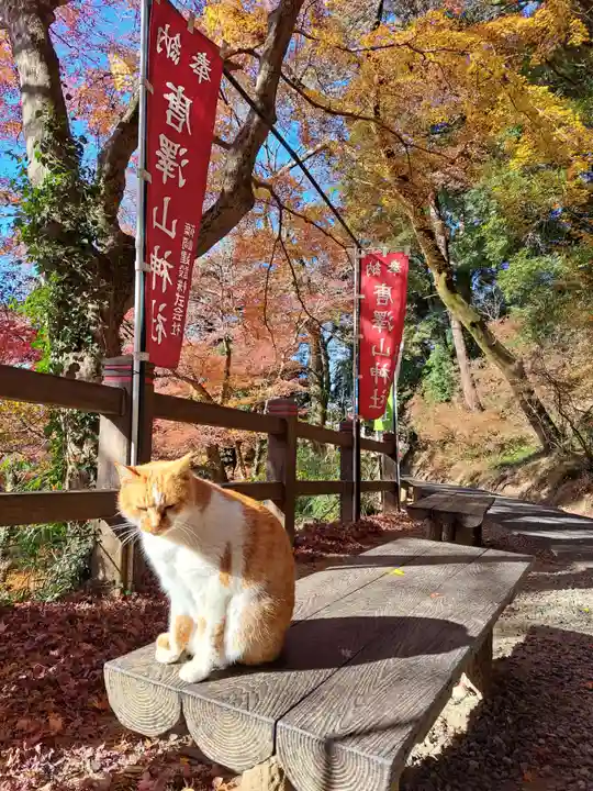 唐澤山神社(栃木県)