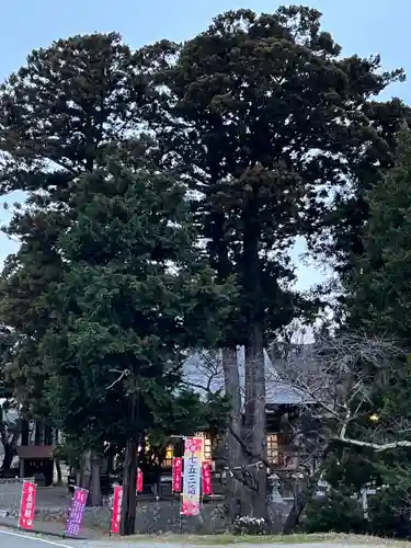 高司神社〜むすびの神の鎮まる社〜の景色