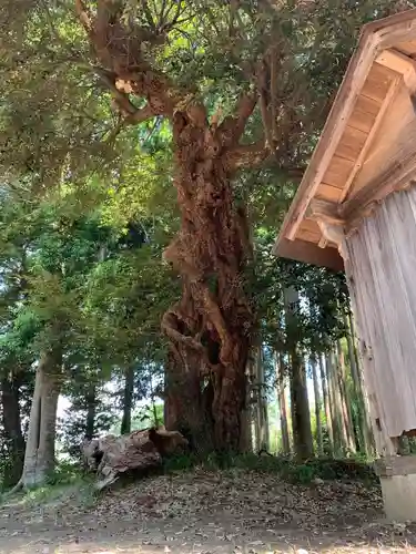 四堰神社の自然