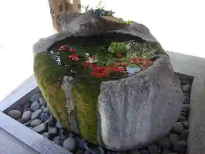 出雲大社相模分祠の手水舎