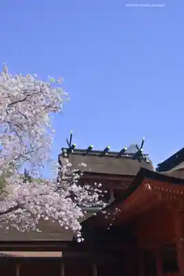 富士山本宮浅間大社(静岡県)