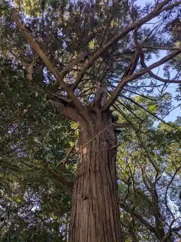 飯野高宮神山神社(三重県)