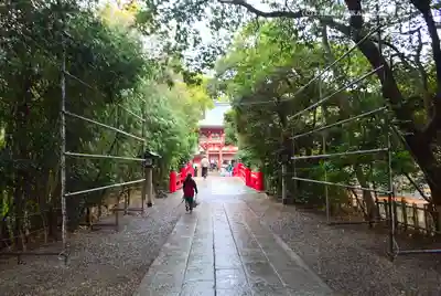 武蔵一宮氷川神社(埼玉県)