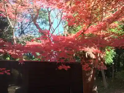 霞神社の自然