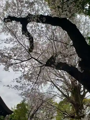 神明氷川神社(東京都)