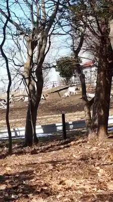 幌内神社のその他建物