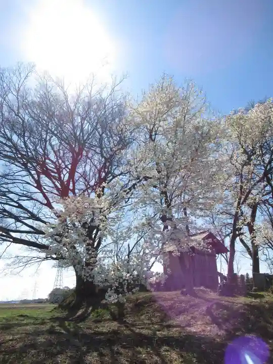 神明神社(千葉県)