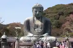 高徳院(神奈川県)