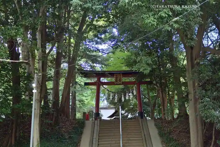 氷川女體神社の鳥居