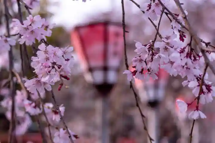 三嶋大社(静岡県)