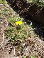 熊野神社(福島県)
