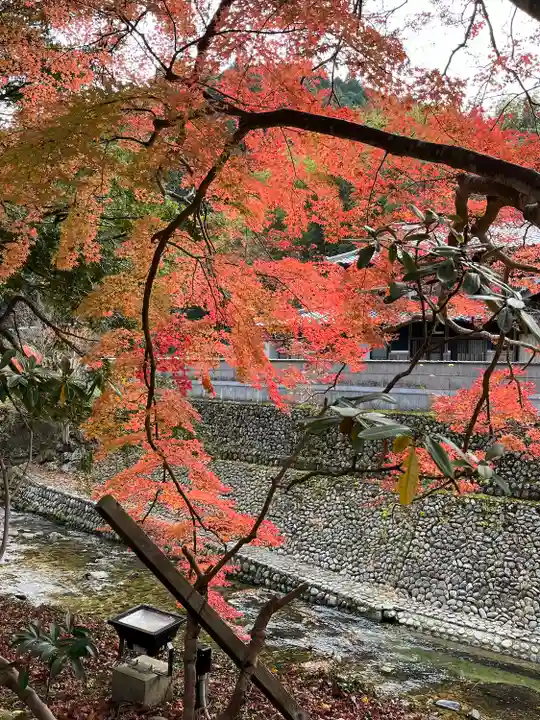 室生寺(奈良県)