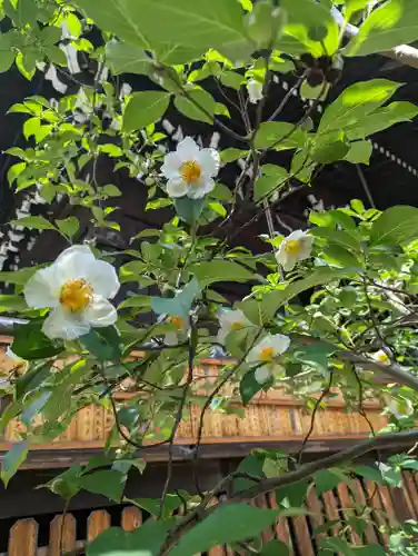 平等寺（因幡堂）(京都府)