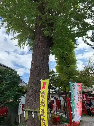 鴻神社の自然