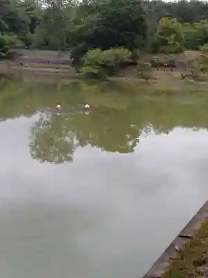 雷神社(宮城県)
