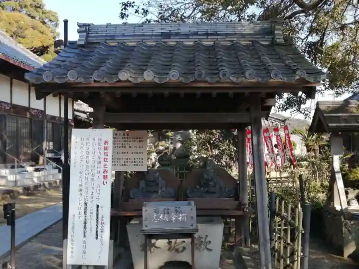 金蓮寺の手水舎