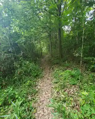 賀茂別雷神社(栃木県)