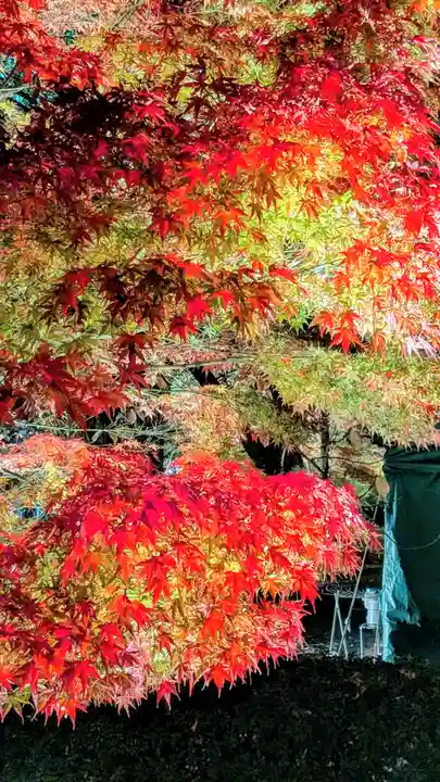 東寺(教王護国寺)(京都府)