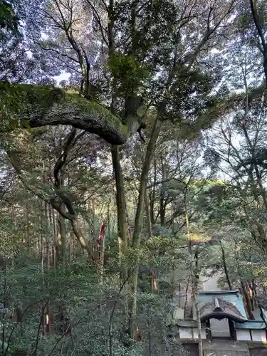 豊国廟（豊国神社飛地境内）(京都府)