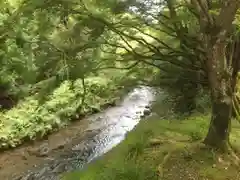 貴船神社の自然