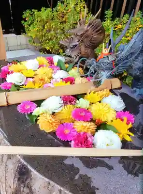 駒込妙義神社(東京都)