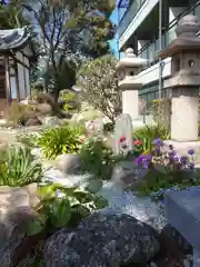 水堂須佐男神社の庭園