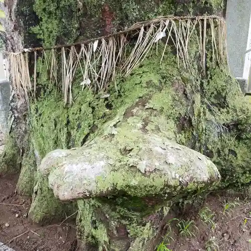 素鵞熊野神社の自然