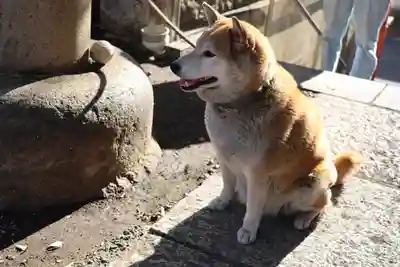 笠䅣稲荷神社(神奈川県)