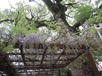 金剛宝寺（紀三井寺）(和歌山県)