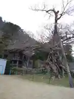 神魂伊能知奴志神社(島根県)