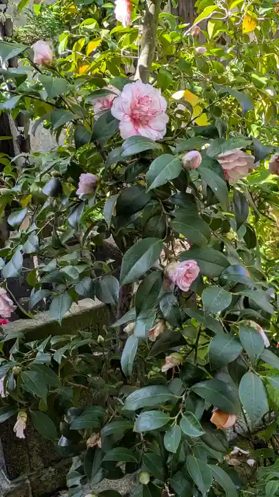 宝蔵寺(京都府)