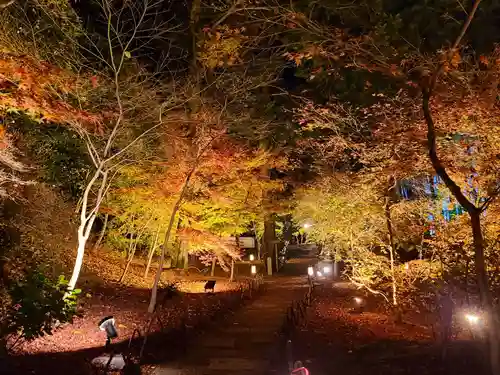 くろ谷 金戒光明寺の自然