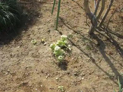 徳恩寺(神奈川県)