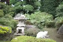 熊野大神社の動物