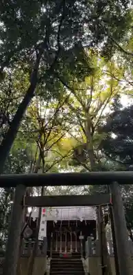 浅間神社の鳥居