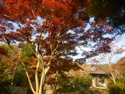 海蔵寺の景色