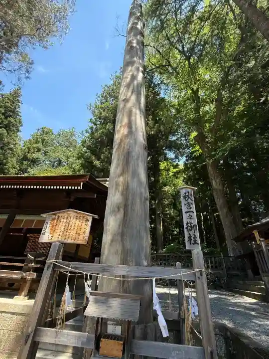 諏訪大社下社秋宮(長野県)