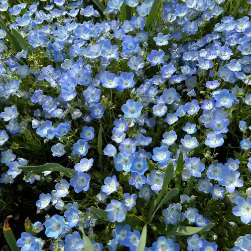 春日神社(神奈川県)