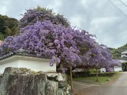 神光寺(徳島県)