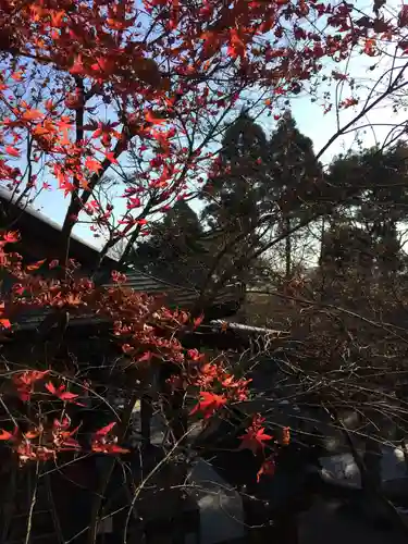 如意輪寺(福岡県)