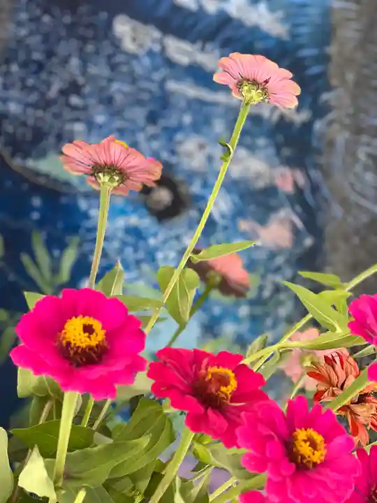 浅間神社の手水舎