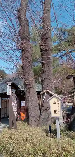櫻木神社(千葉県)