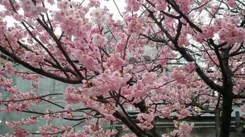 櫛田神社の自然