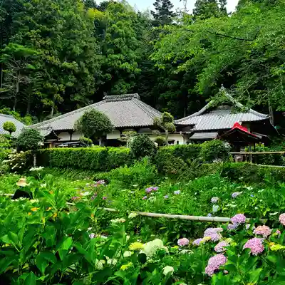 極楽寺(静岡県)