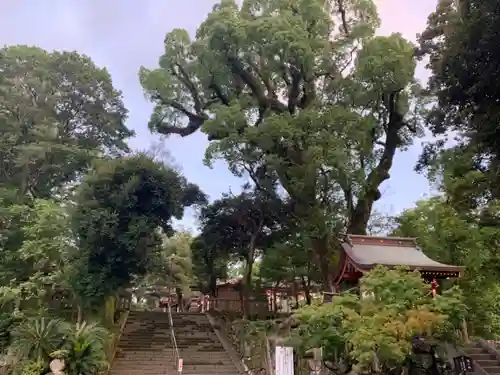 鹿児島神宮の建物その他