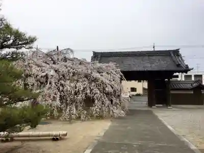 専修坊のその他建物