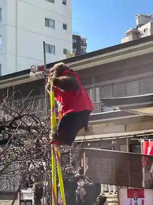 湯島天満宮(東京都)