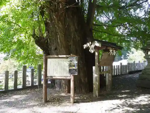 素盞雄神社(奈良県)
