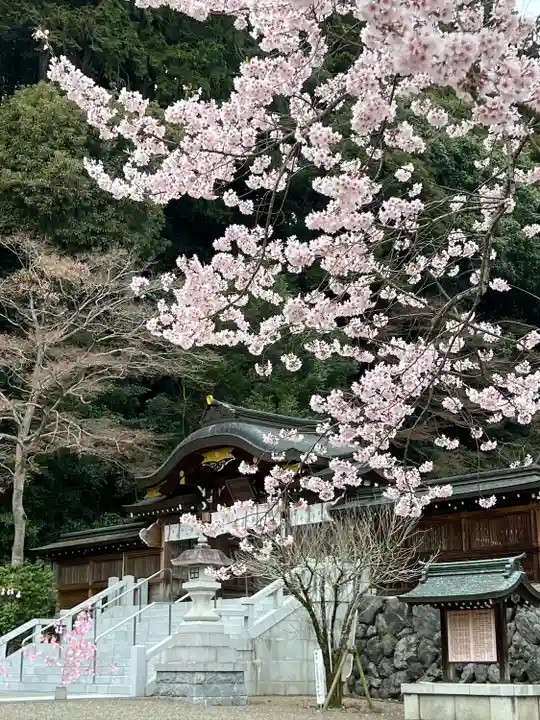 高麗神社(埼玉県)