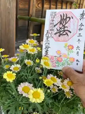 マーガレット